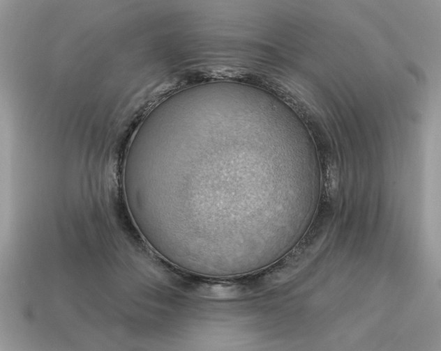 X0000115030506200911091346