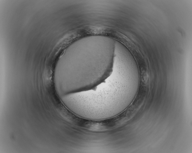 X0000115030507200911091346