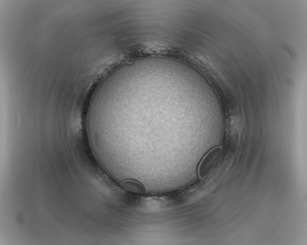 X0000115030508200911091346