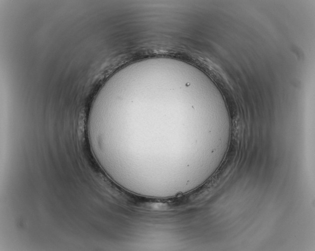 X0000115030509200911091346