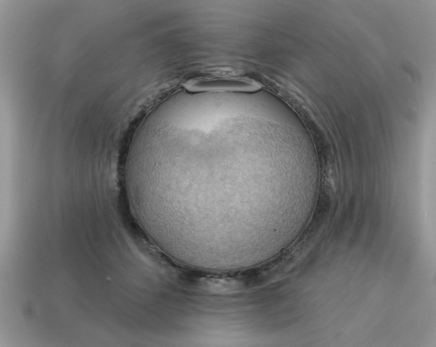 X0000115030512200911091346