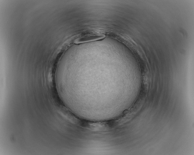 X0000115030516200911091345