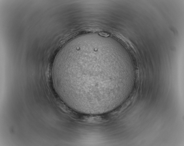 X0000115030517200911091345