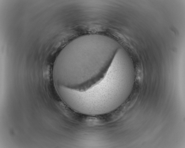 X0000115030519200911091345