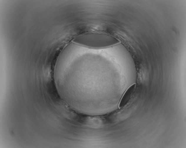 X0000115030520200911091345