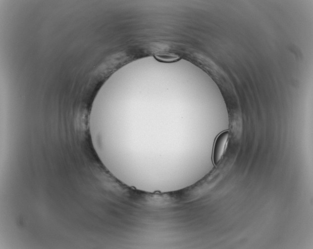 X0000115030525200911091345