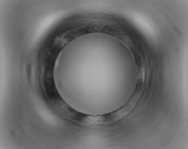 X0000115030526200911091345