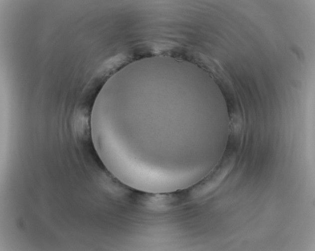 X0000115030527200911091345