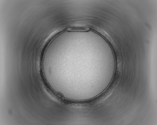 X0000115030530200911091344