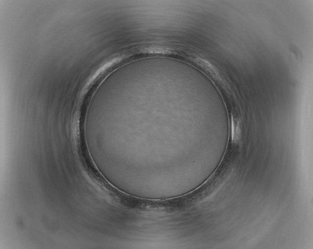 X0000115030531200911091344