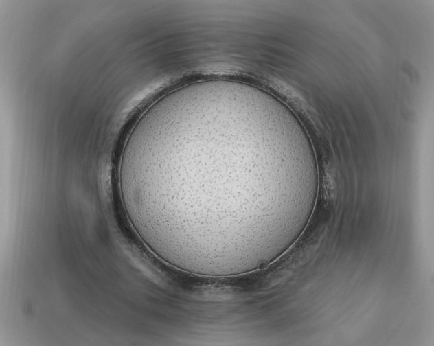 X0000115030535200911091345