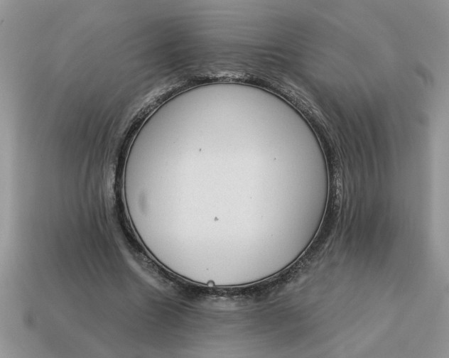 X0000115030538200911091345