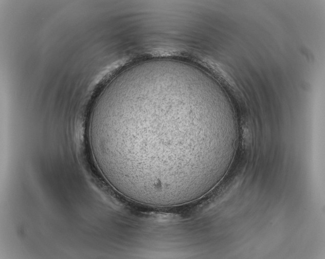 X0000115030539200911091345
