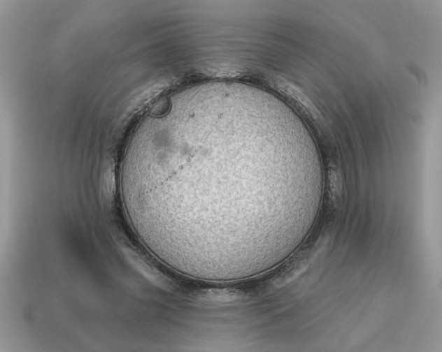 X0000115030541200911091345