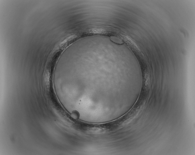 X0000115030542200911091345