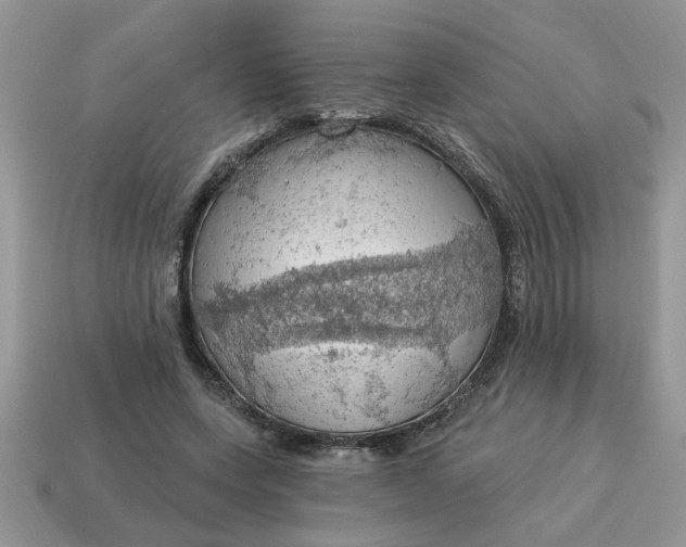 X0000115030543200911091345