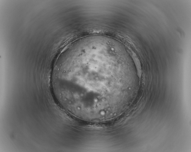 X0000115030545200911091345