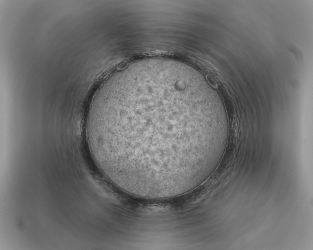X0000115030546200911091345
