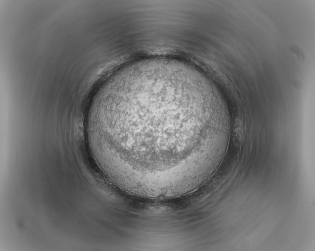 X0000115030547200911091345
