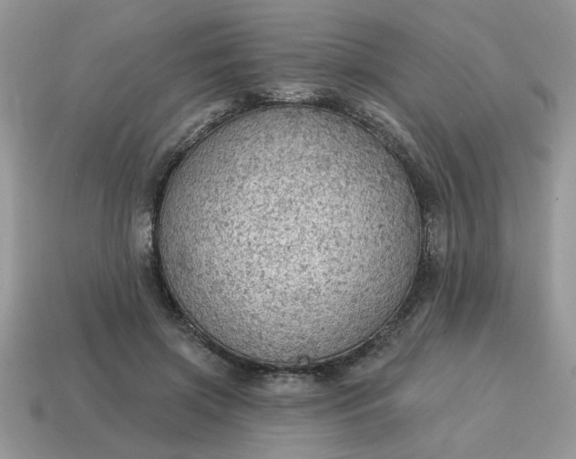 X0000115030549200911091345