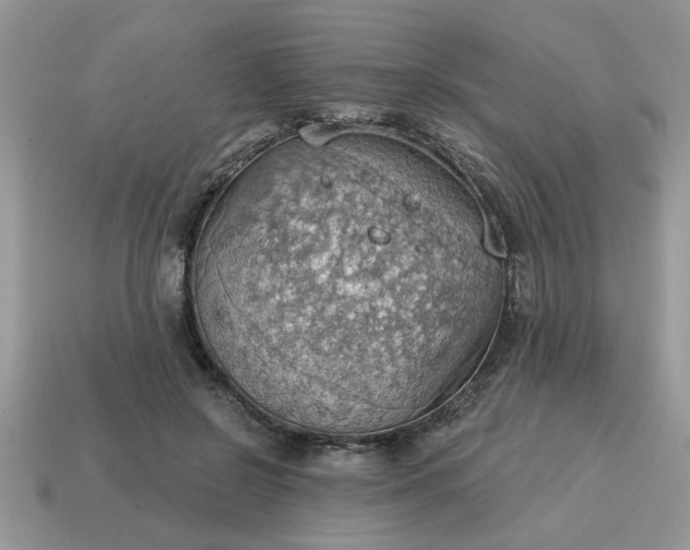X0000115030550200911091345