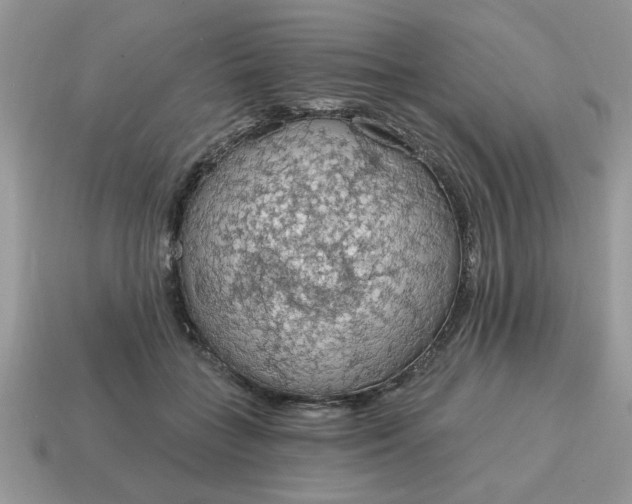 X0000115030555200911091345