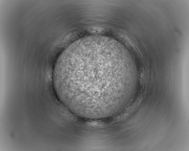 X0000115030561200911091345