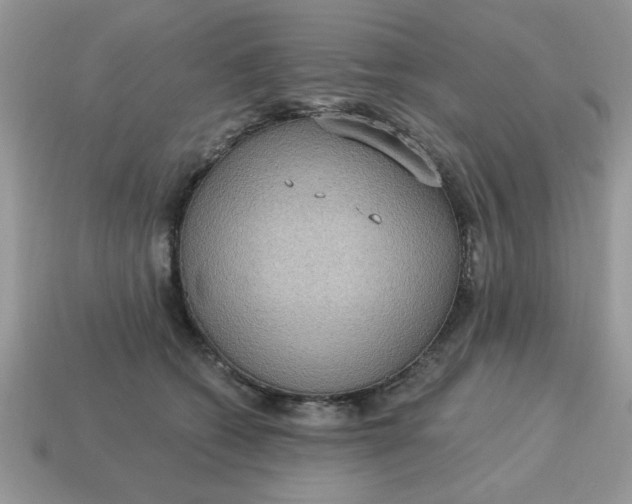 X0000115030562200911091345