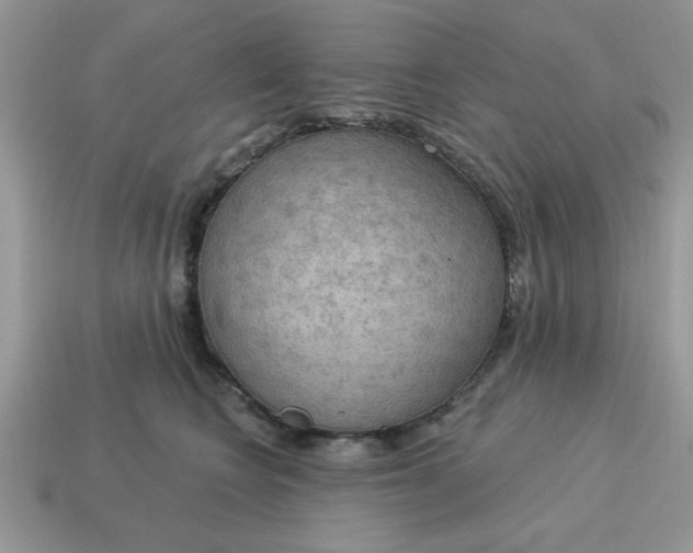 X0000115030566200911091345