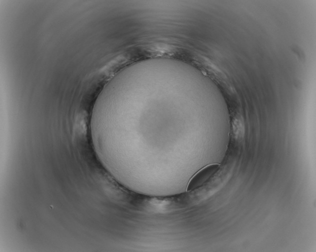 X0000115030570200911091345
