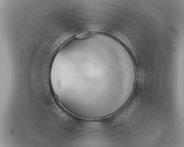 X0000115030577200911091344