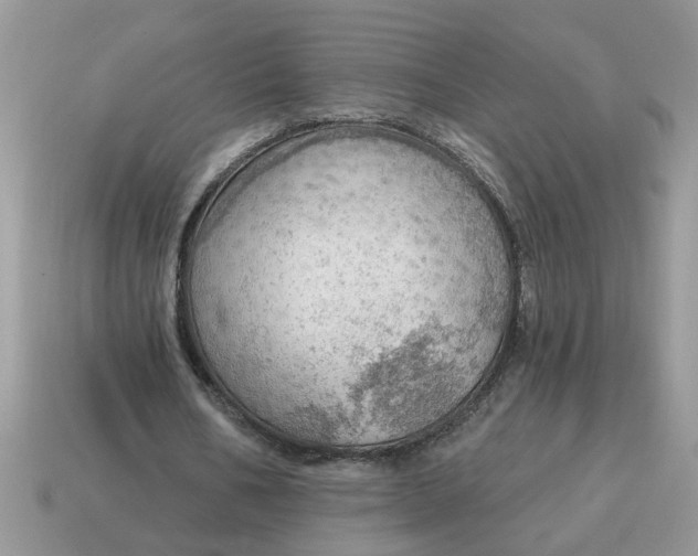 X0000115030578200911091344