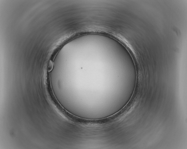 X0000115030581200911091344