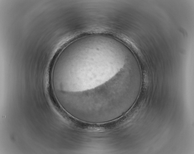 X0000115030582200911091344