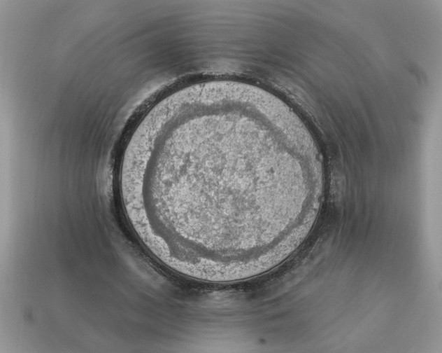 X0000115030584200911091344