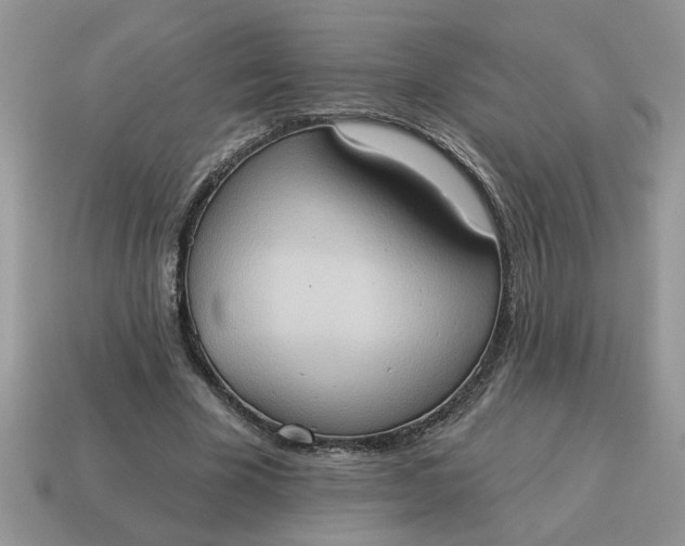 X0000115030585200911091344