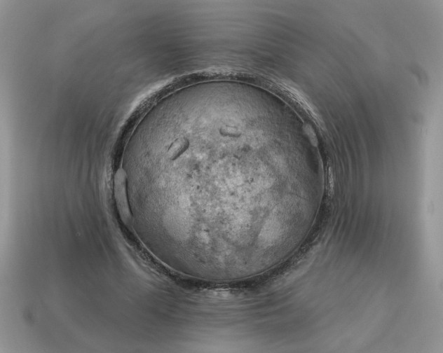 X0000115030588200911091344