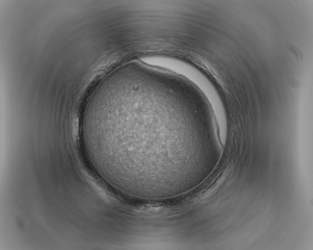 X0000115030589200911091344