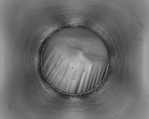 X0000115030592200911091344