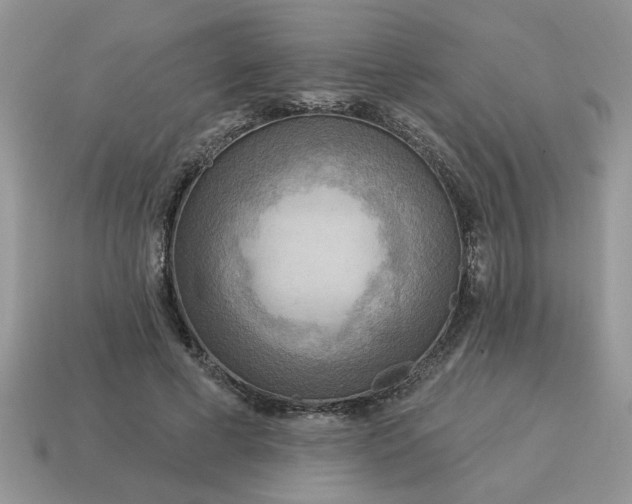 X0000115030593200911091344