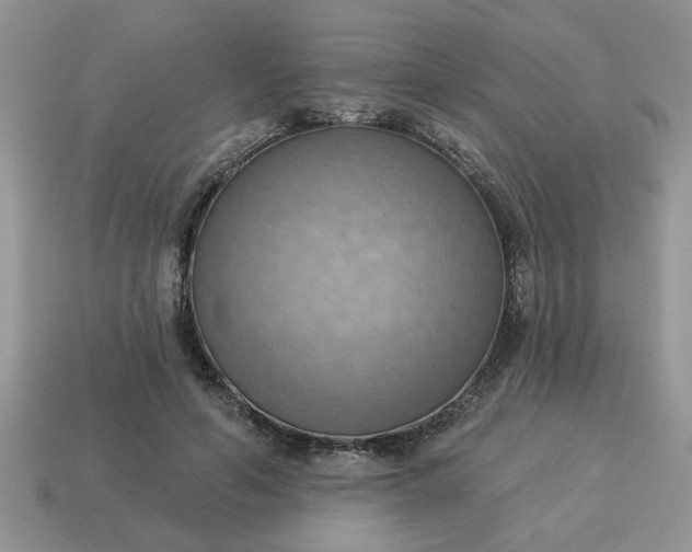 X0000115030594200911091344