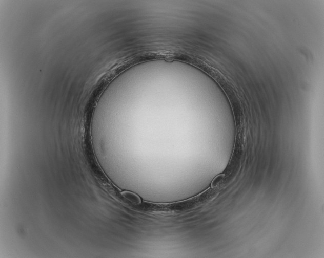 X0000115030595200911091344