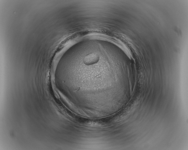 X0000115030596200911091344