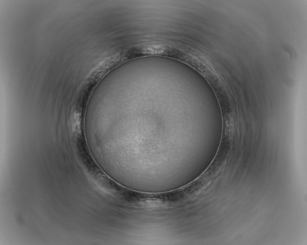 X0000115030598200911091344