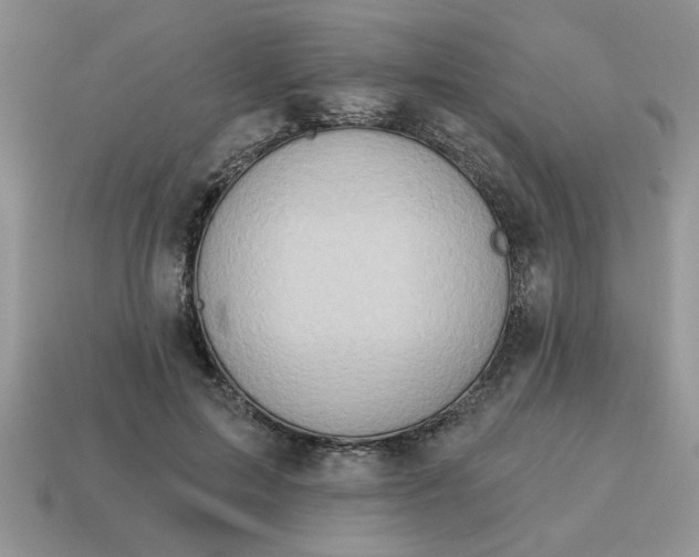 X0000115030599200911091344