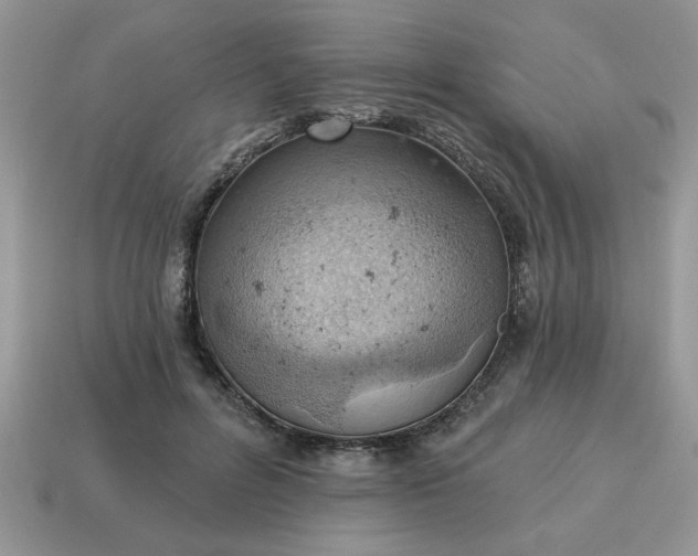 X0000115030600200911091344