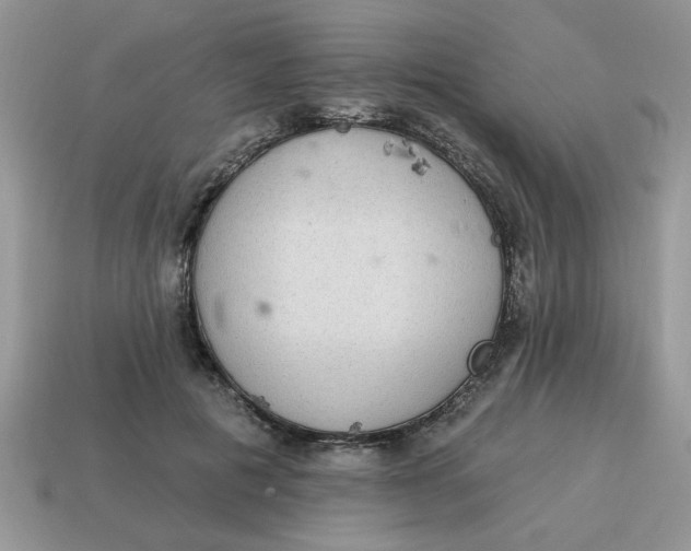 X0000115030601200911091344