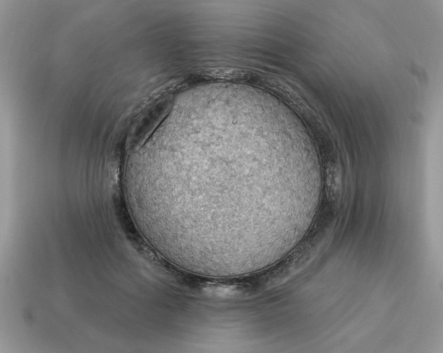X0000115030602200911091344
