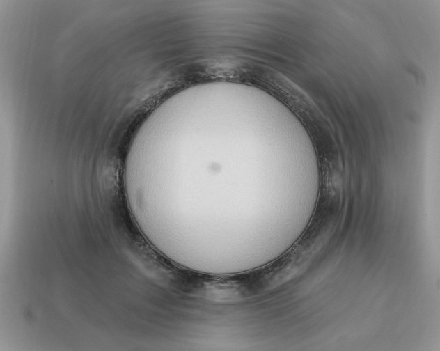 X0000115030603200911091344