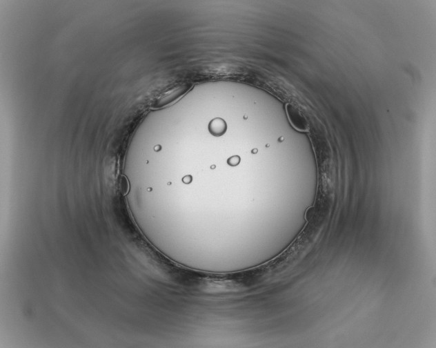 X0000115030605200911091344